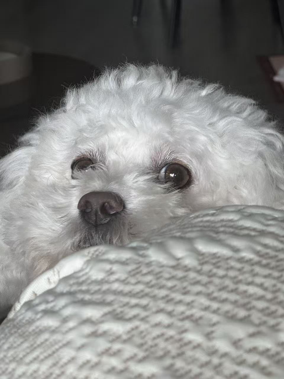 He